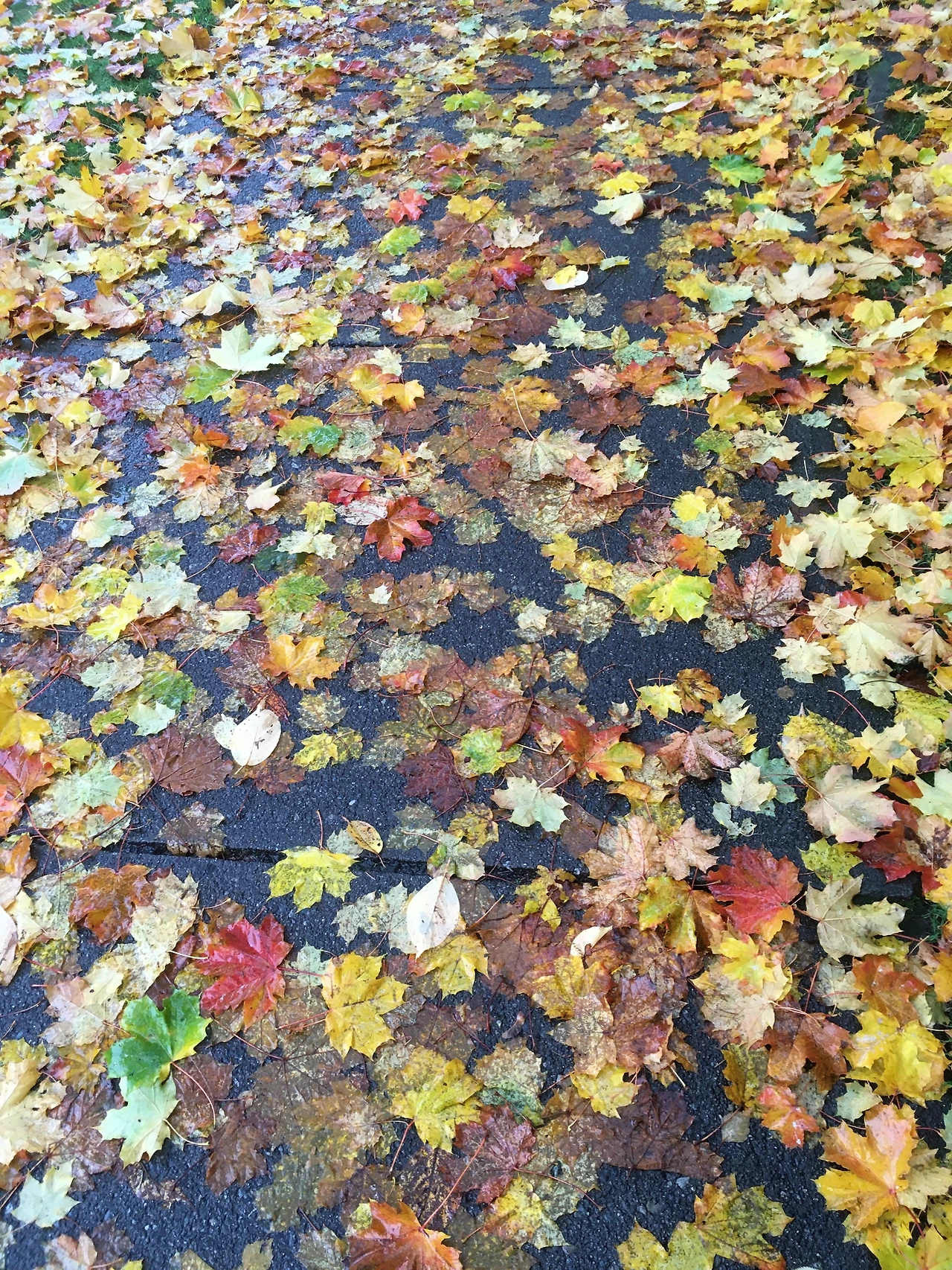 누가복음 대문 사진.JPG