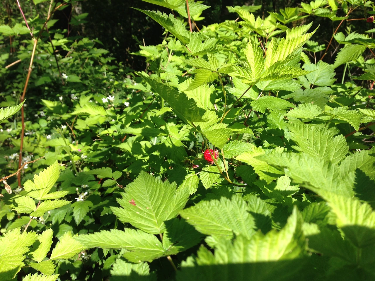 가슴 속 담아 둔 말씀 2.JPG