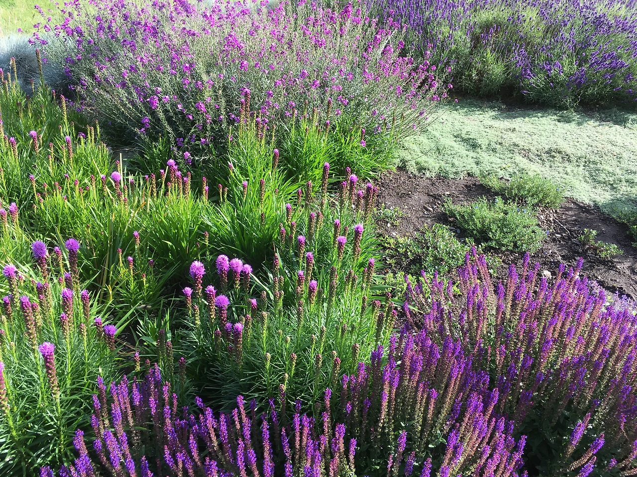 너는 나의 것 3.JPG