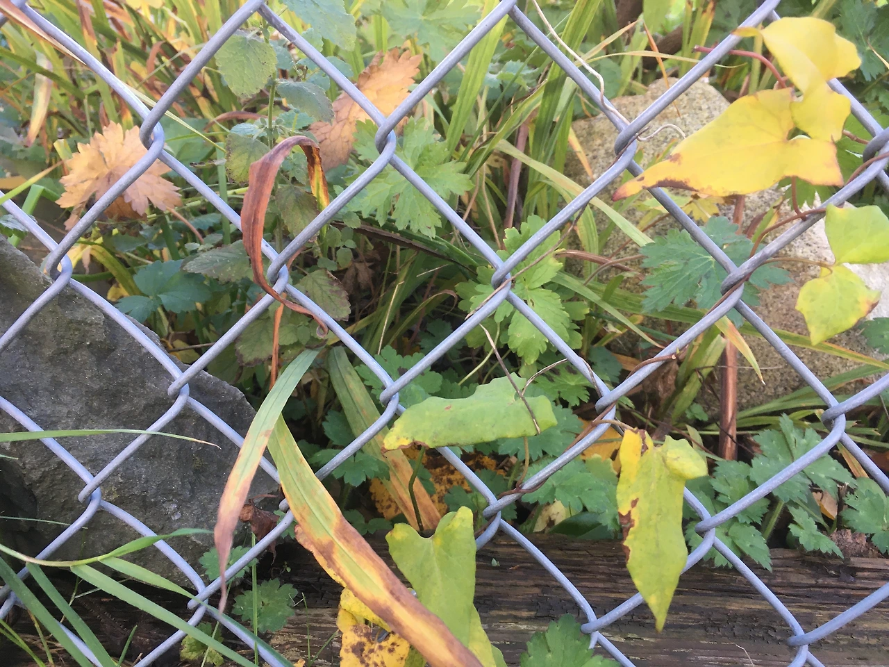 왜 그러세요 2.JPG