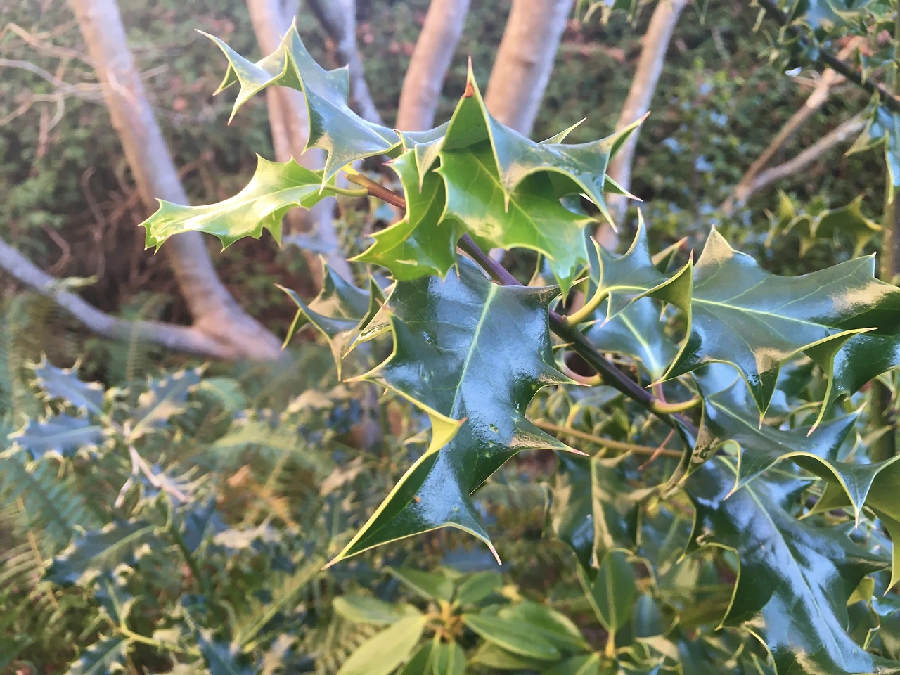 누구라 하느냐 2.JPG