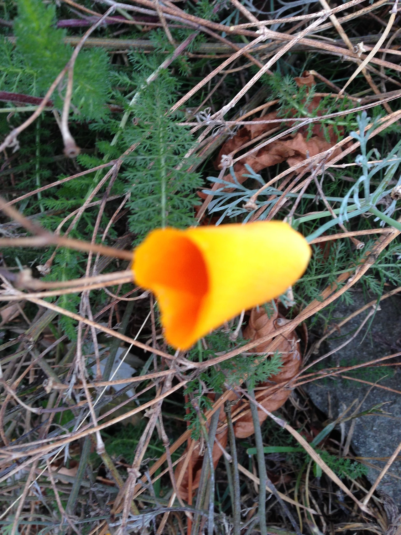 규칙적인 사랑 2.JPG