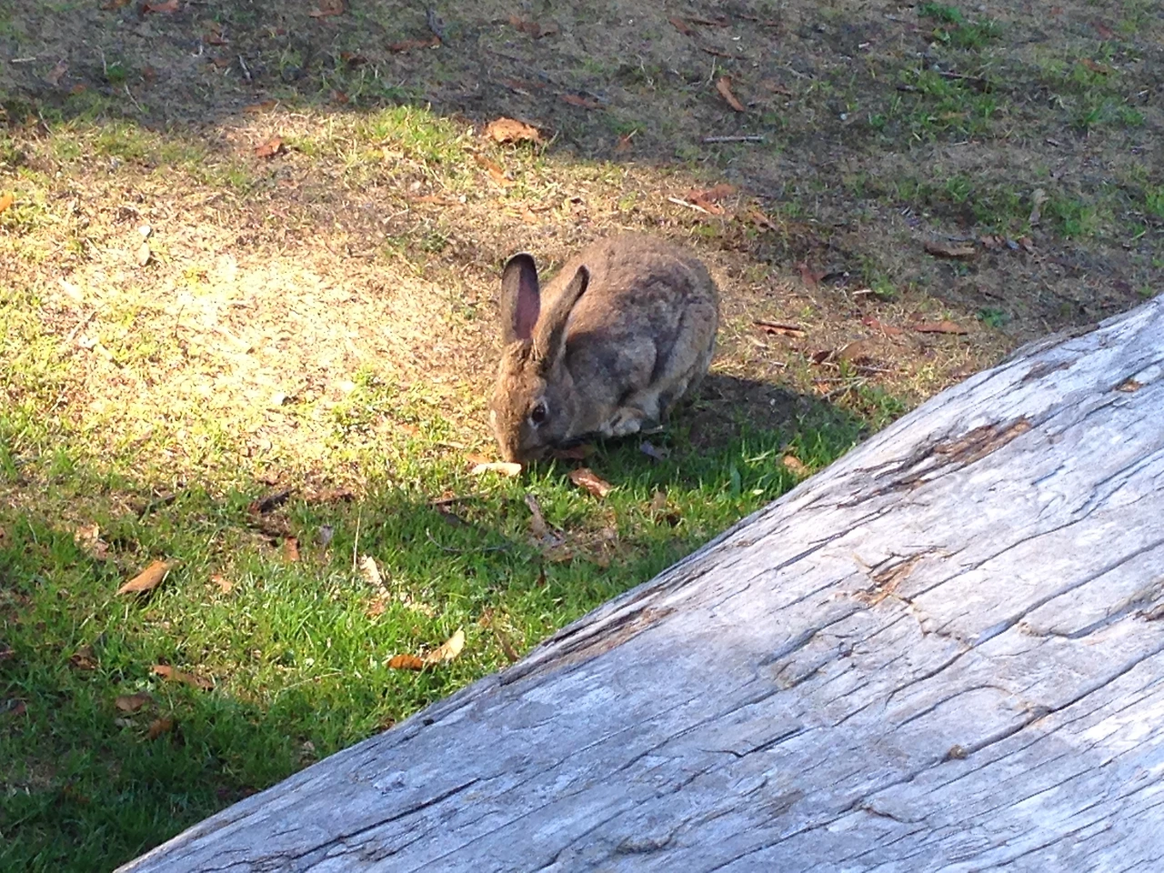 서로 놀라며 걷는 길 2.JPG