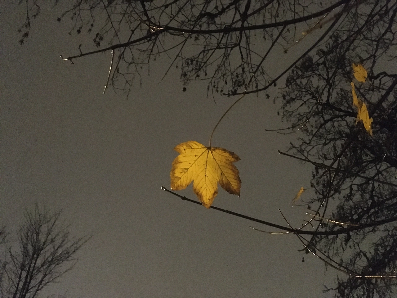 요한의 광야의 노래 대문사진.JPG