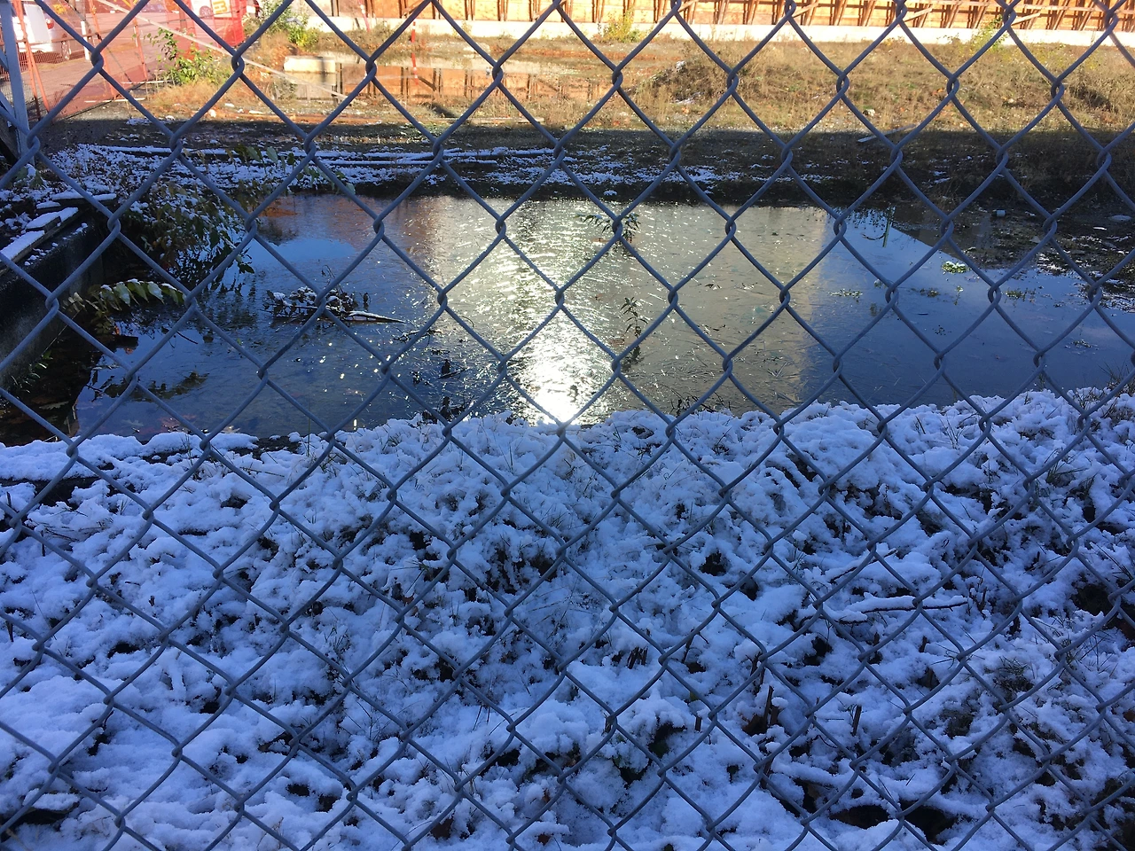 염려 놓을 것.JPG