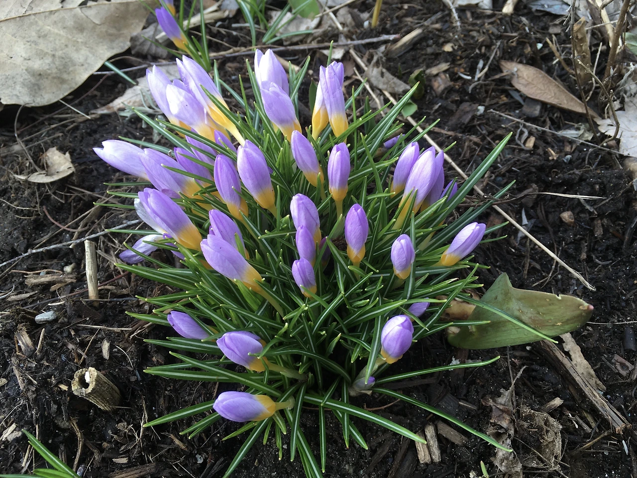 용서가 있어 사는 우리 1.JPG