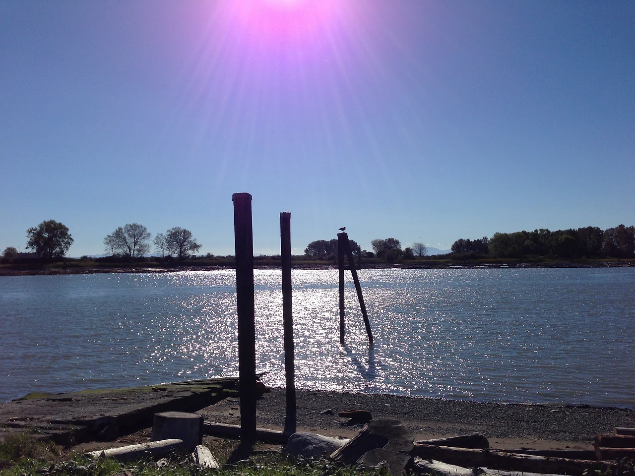 왜 난 안될까요 2.JPG