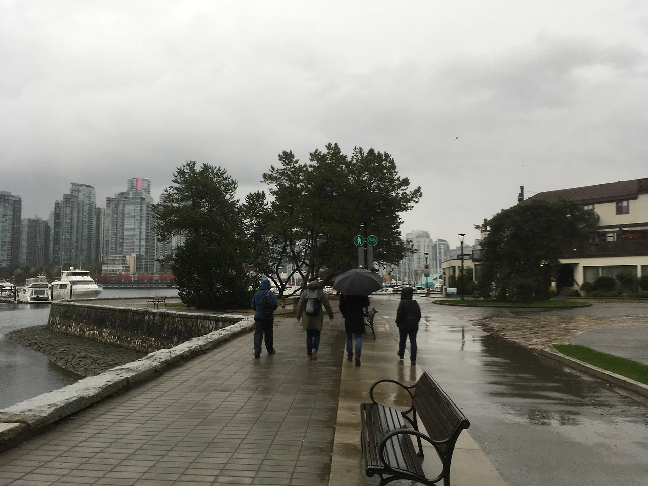 우중산책 1-1.JPG