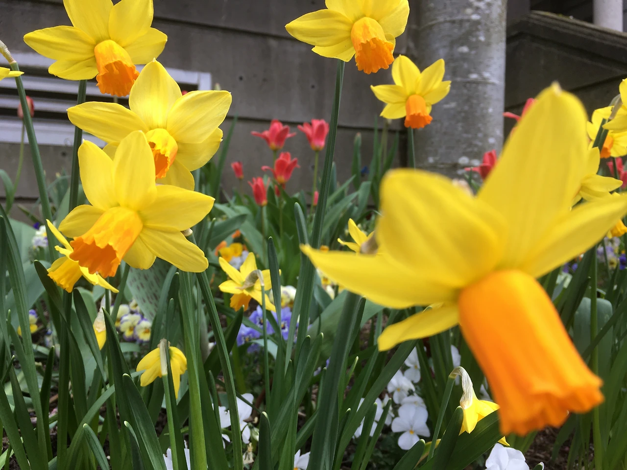 그리스도의 향기 1.JPG