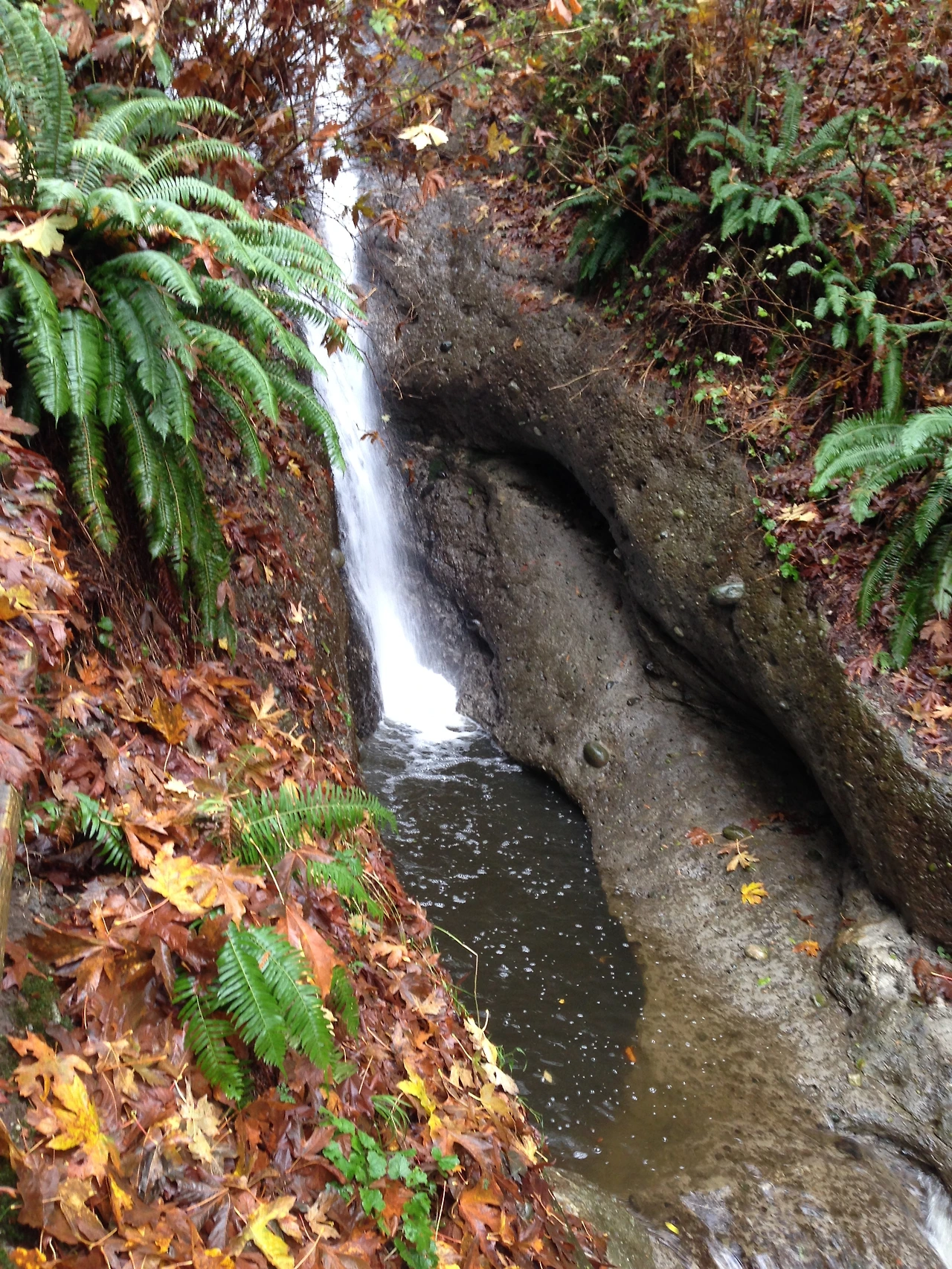 누가나를 넣어줄까 4.JPG