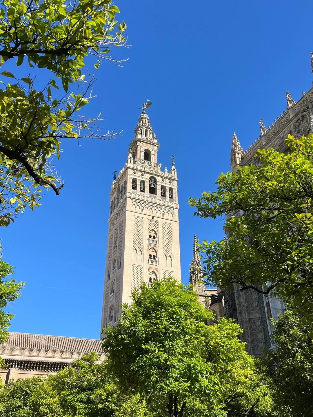 KakaoTalk_Photo_2024-11-01-16-05-00 015.jpeg