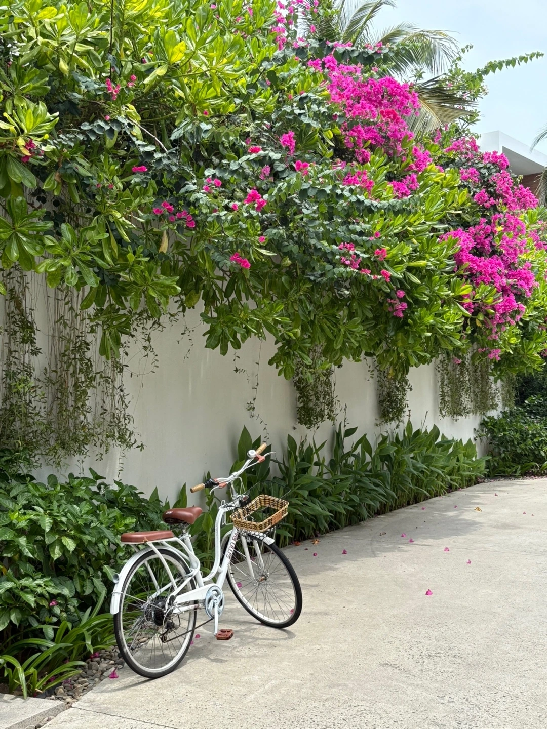 KakaoTalk_Photo_2025-05-29-13-00-52 001.jpeg