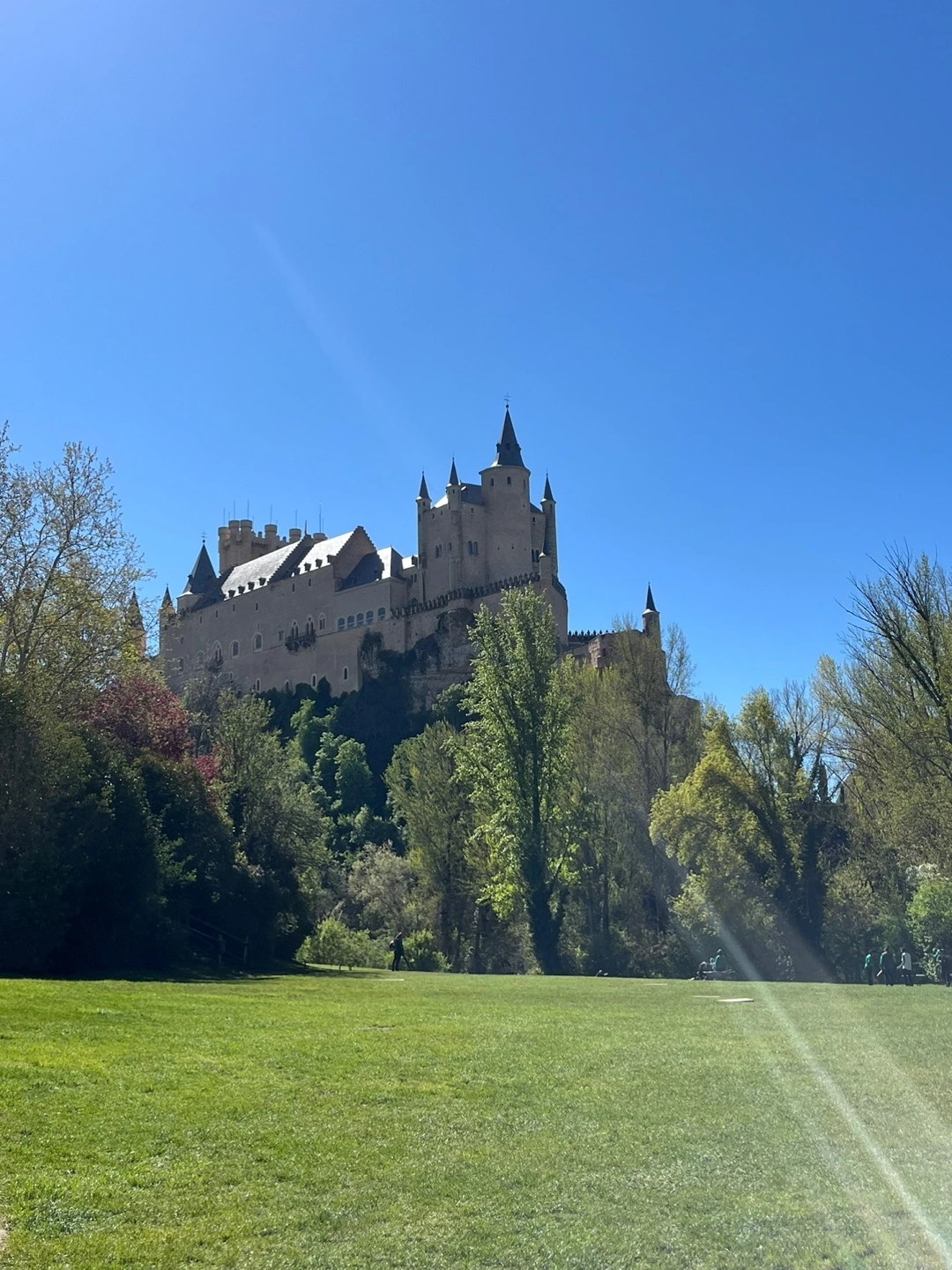 KakaoTalk_Photo_2024-11-04-15-00-02 018.jpeg