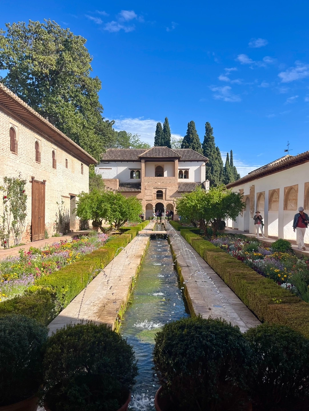 KakaoTalk_Photo_2024-11-01-14-41-58 009.jpeg