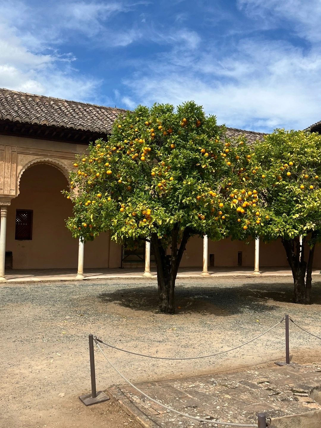 KakaoTalk_Photo_2024-11-01-14-41-57 003.jpeg