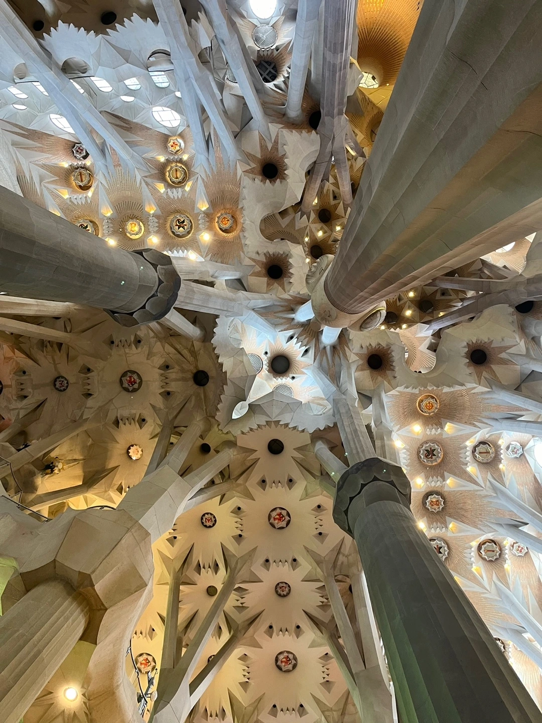 KakaoTalk_Photo_2024-10-30-16-08-22 004.jpeg