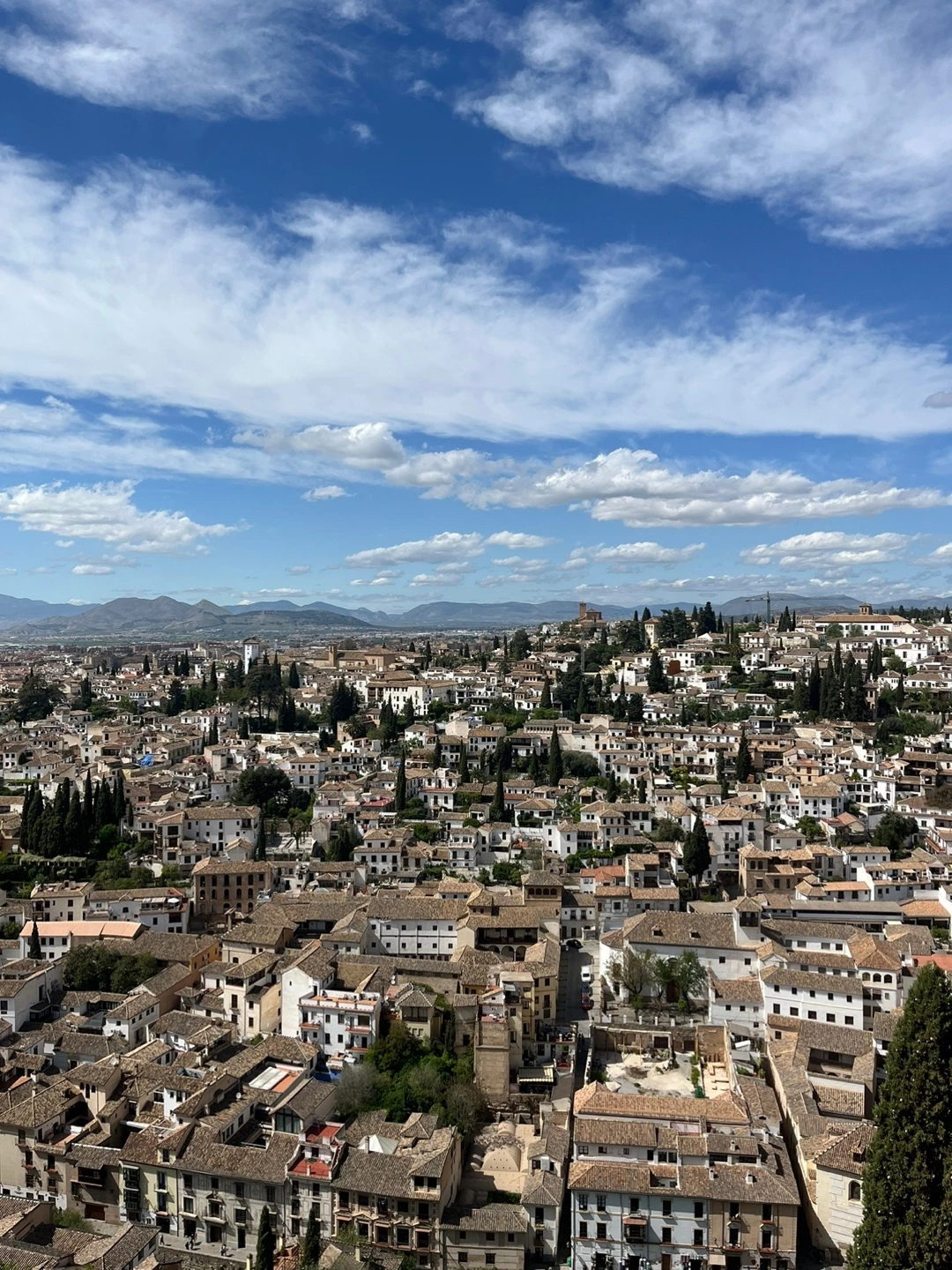 KakaoTalk_Photo_2024-11-01-14-52-17 002.jpeg