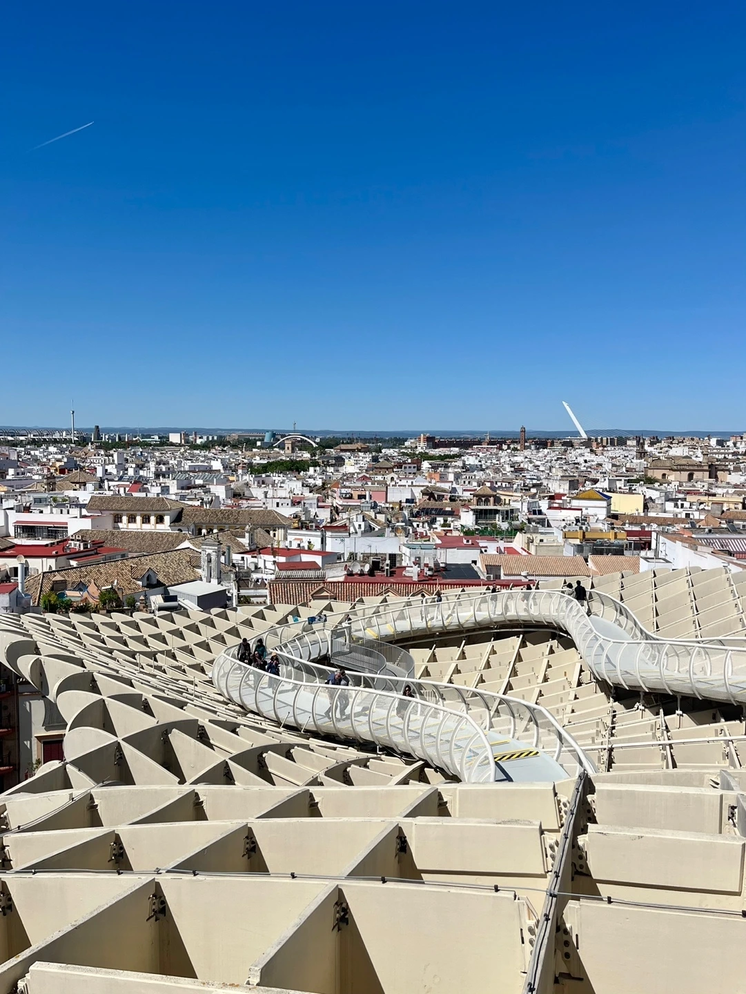 KakaoTalk_Photo_2024-11-01-16-04-59 007.jpeg