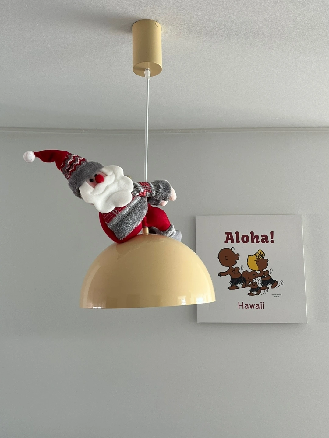 KakaoTalk_Photo_2025-01-07-14-08-36 005.jpeg