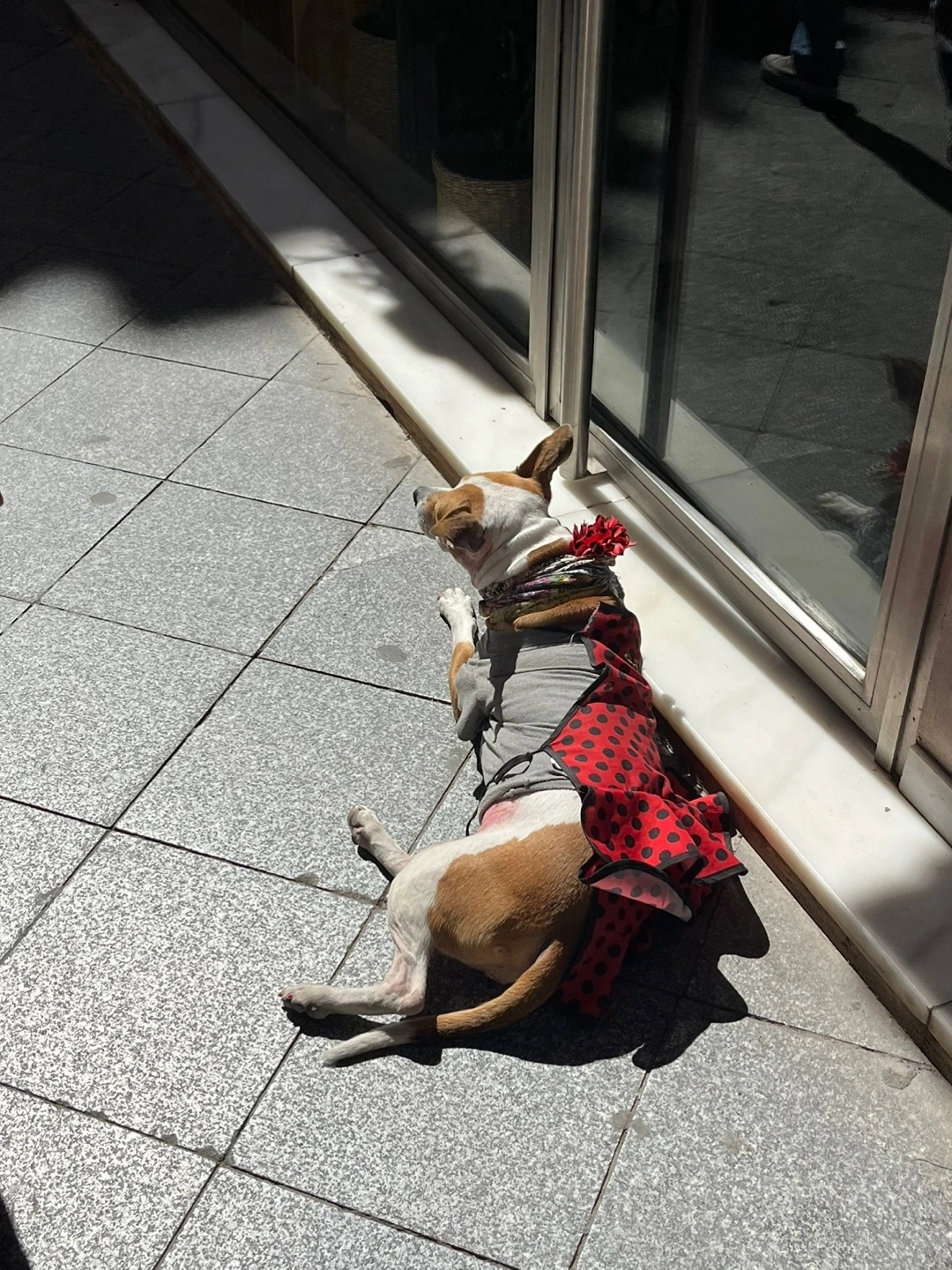 KakaoTalk_Photo_2024-11-01-16-04-59 011.jpeg