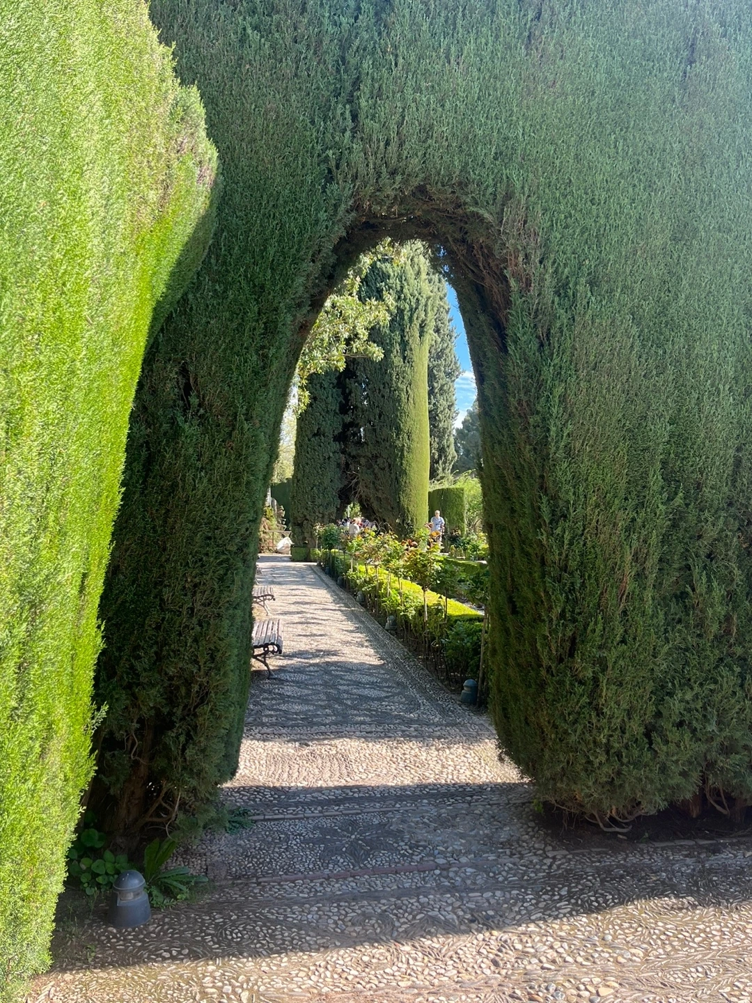 KakaoTalk_Photo_2024-11-01-14-52-17 005.jpeg