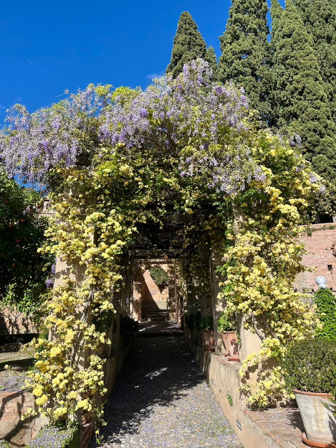 KakaoTalk_Photo_2024-11-01-14-41-57 007.jpeg