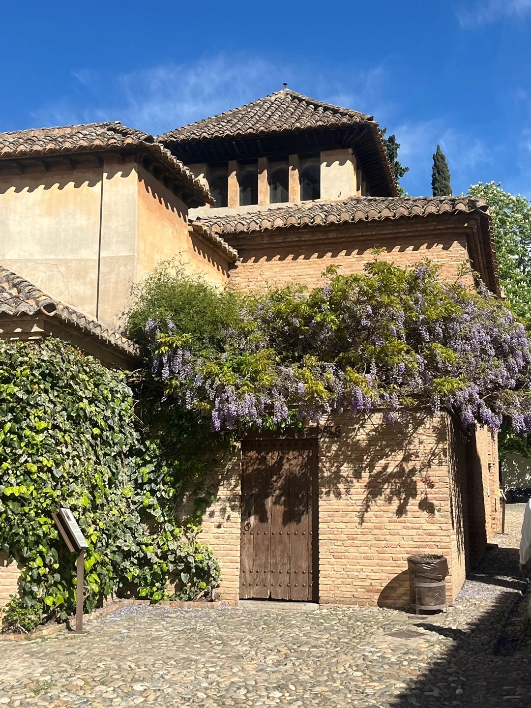 KakaoTalk_Photo_2024-11-01-14-41-57 006.jpeg