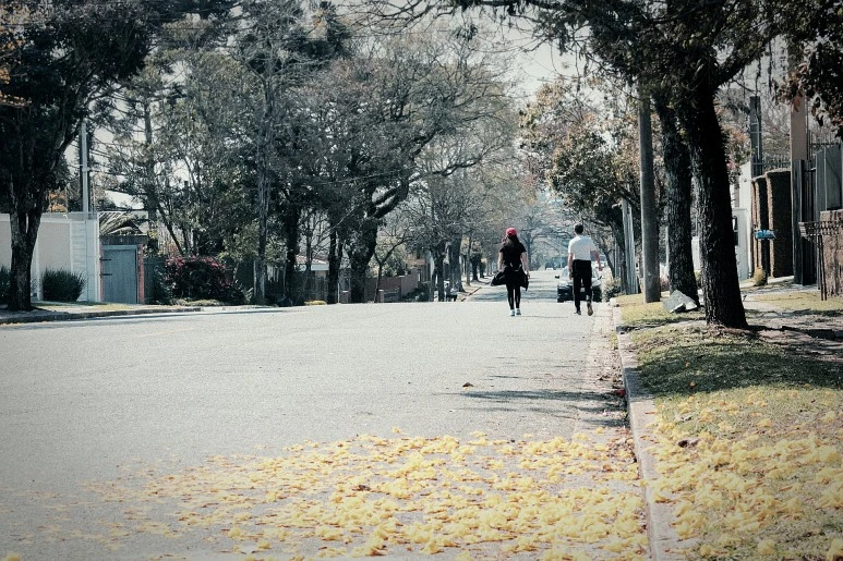 SE-9be48438-a224-469a-aec4-02b3e1f4770c.jpg?type=w773