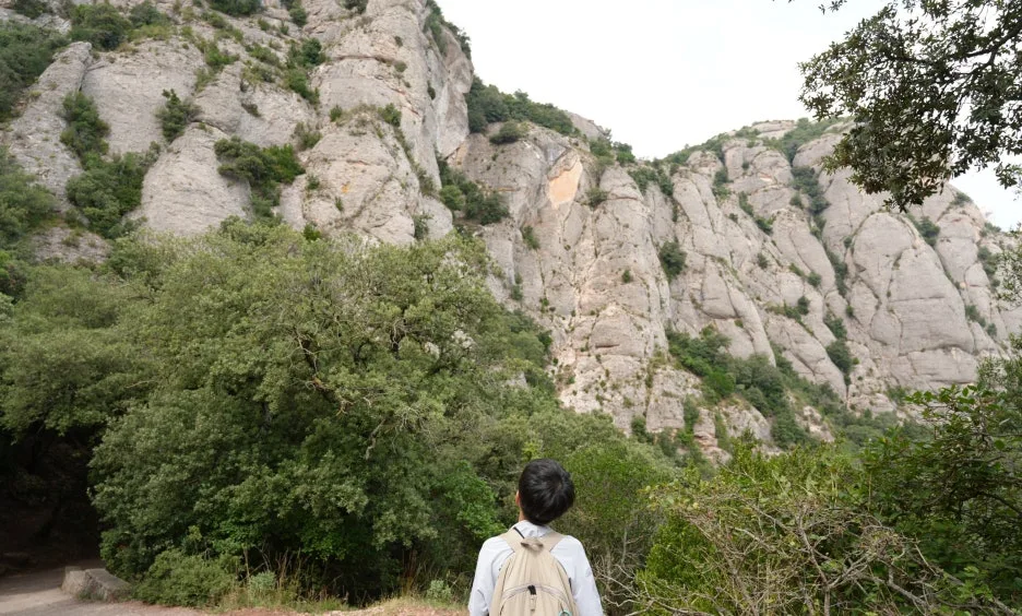 SE-64197bad-d802-4dc7-b76c-6cdf0a271f4b.jpg?type=w1