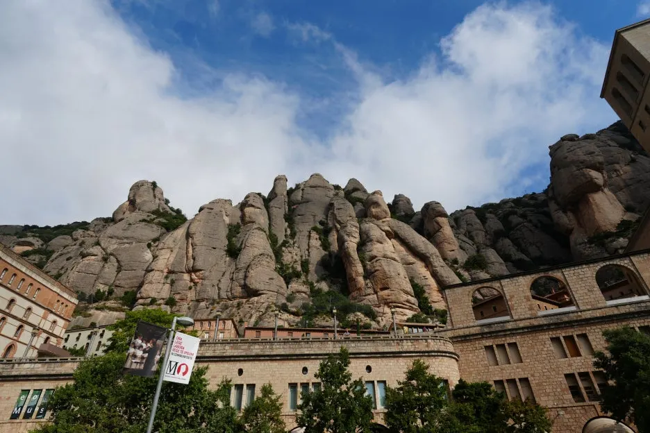 DSC01970.JPG?type=w1