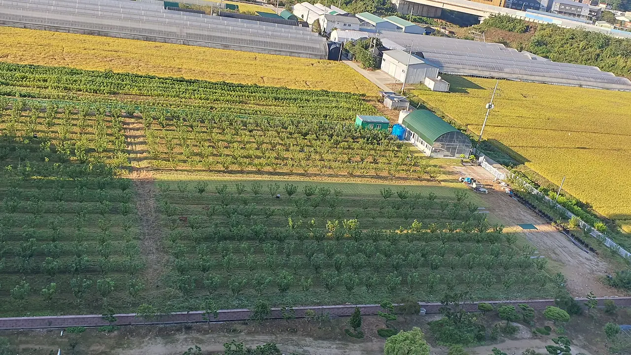 384192378_10231130245419561_1091923745096959404_n.jpg?_nc_cat=107&ccb=1-7&_nc_sid=49d041&_nc_ohc=ln-aIc4PDj0AX_gGp4L&_nc_ht=scontent-gmp1-1.xx&oh=00_AfAZWFDWLT-GRck13ttivPN354g-tW4uRsk01PGu8Y-TCQ&oe=651F9968