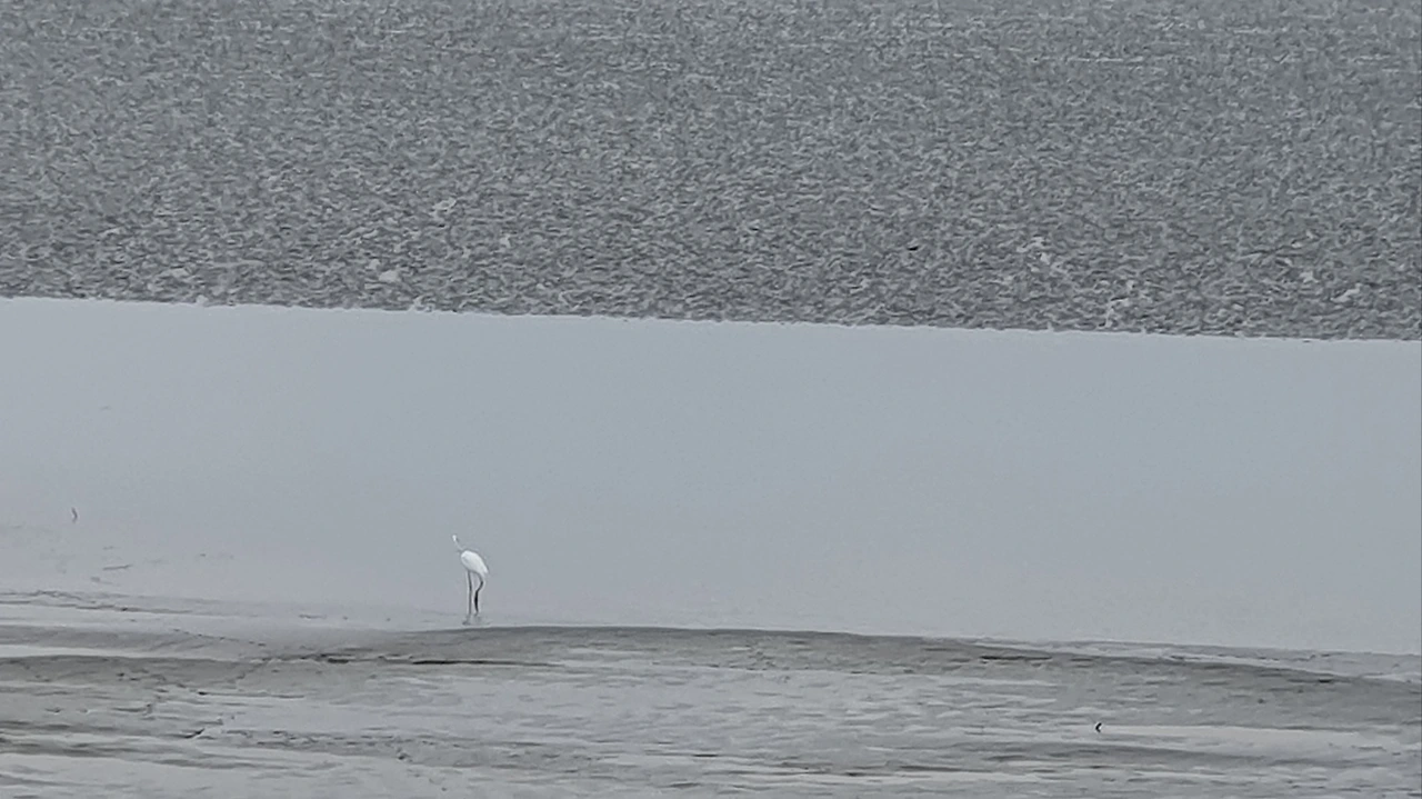 KakaoTalk_Photo_2023-08-21-13-14-21 003.jpeg