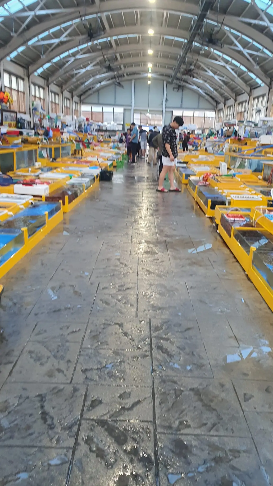 강원도 여행 2.jpeg