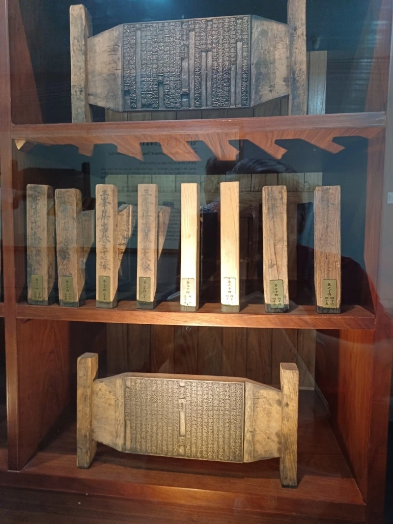 KakaoTalk_Photo_2024-09-12-16-46-17_008.jpeg?type=w800