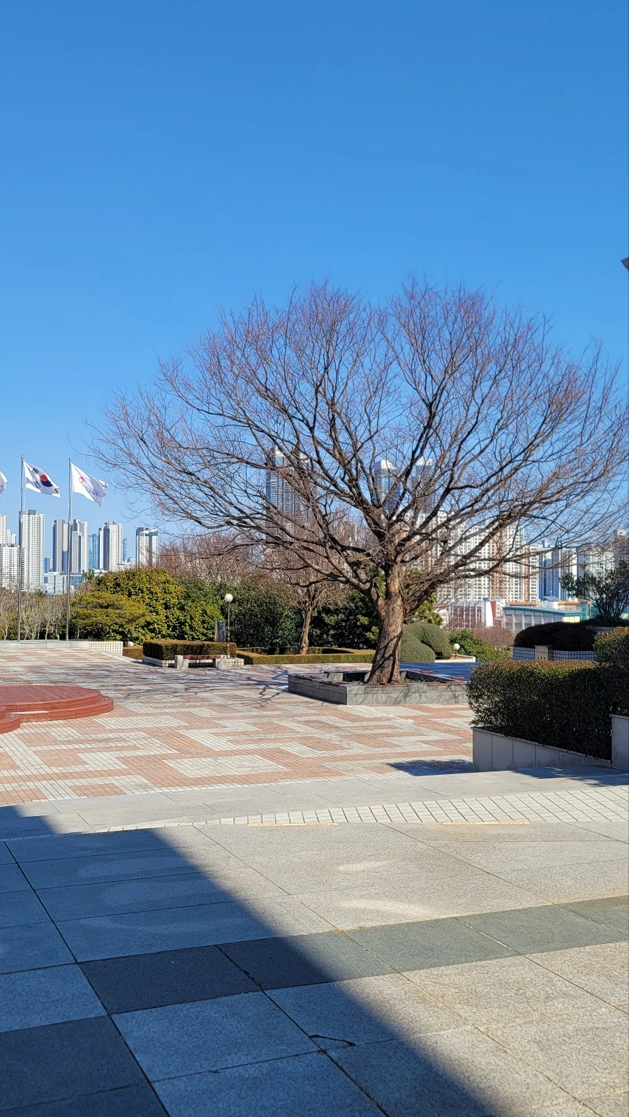 KakaoTalk_Photo_2025-02-27-14-35-34 030.jpeg