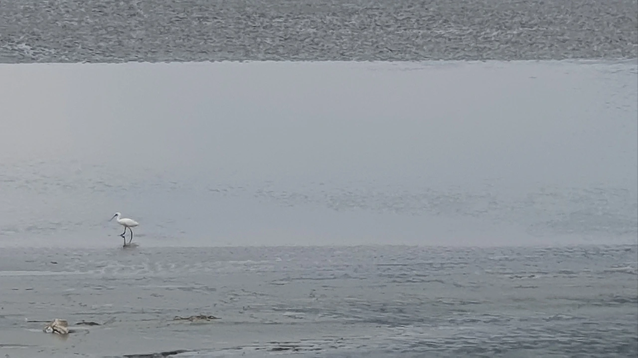 KakaoTalk_Photo_2023-08-21-13-14-21 004.jpeg