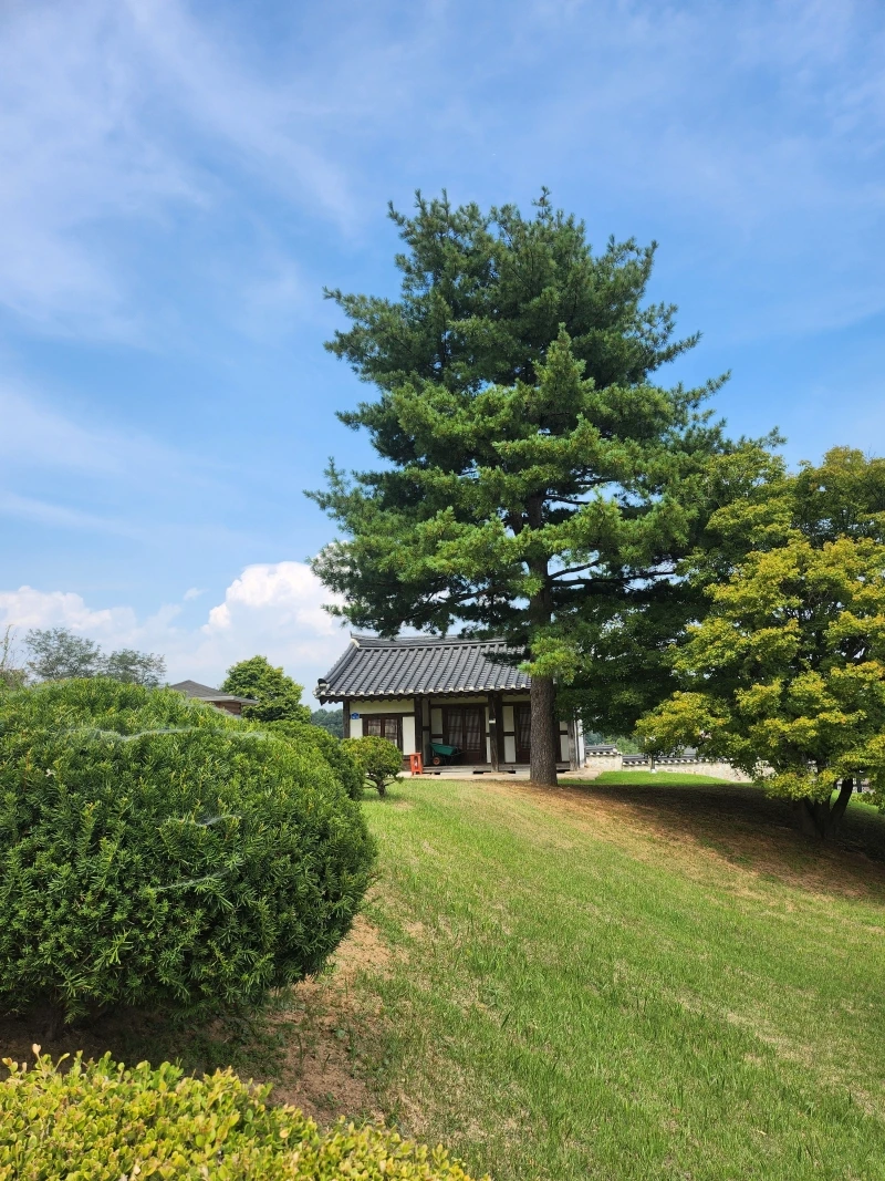 KakaoTalk_Photo_2024-09-12-16-46-40_006.jpeg?type=w800