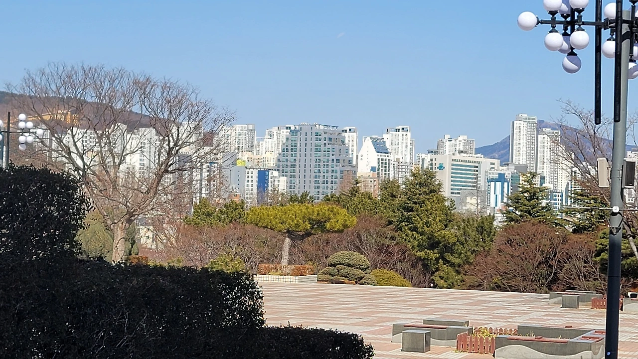 KakaoTalk_Photo_2025-02-27-14-36-02 008.jpeg