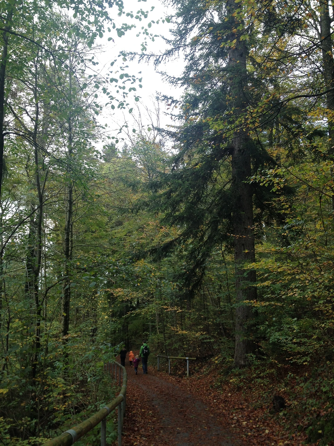 P20141024_230604037_E0A6B082-29BE-421A-8487-E634C12BC181 (1).JPG