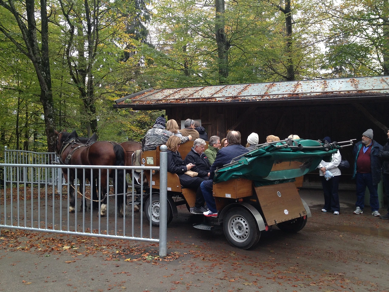 P20141024_225742892_3260CDAA-72AE-4ACC-BA26-C39DFB20B493 (1).JPG