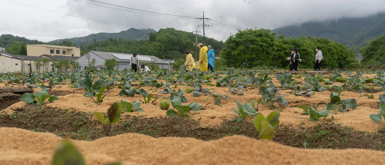 KakaoTalk_Photo_2023-05-17-18-40-59 017.jpeg