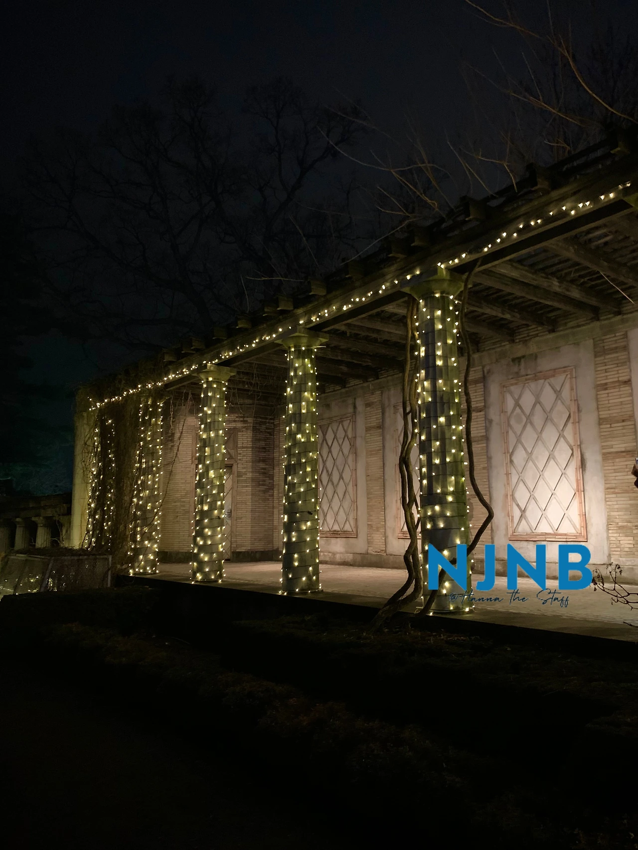 logo_IMG_8926 2.jpeg