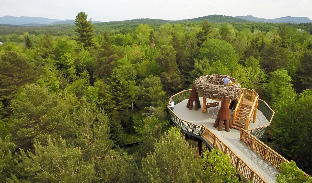 ww-nest-with-a-view.jpeg