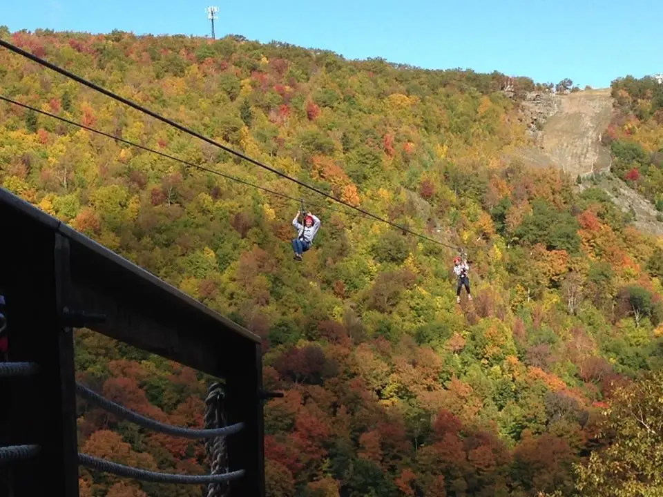 zip_line_fall_3.jpg?itok=0pLhLTqC
