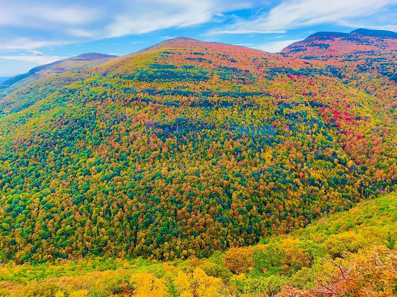 logo_IMG_1332 2.jpeg