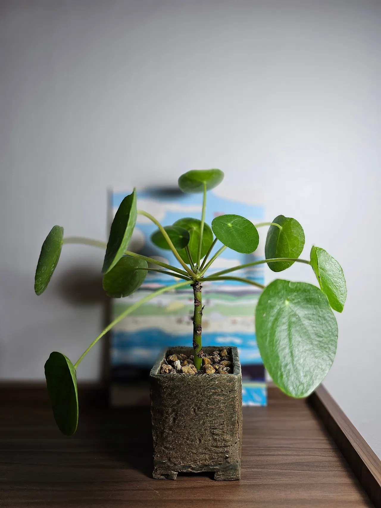 1000043351.jpg?type=w1600