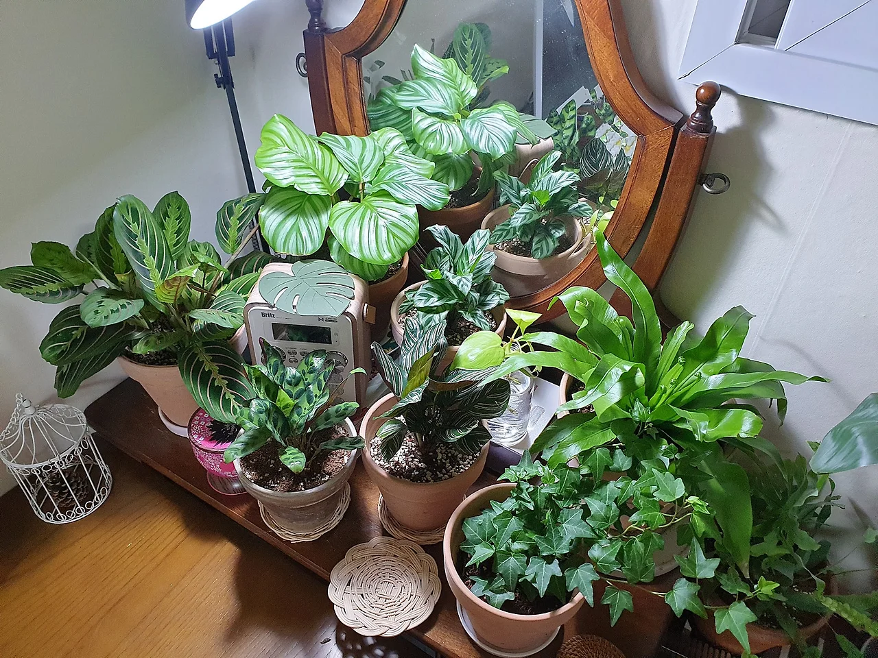 KakaoTalk_20210907_223855742.jpg?type=w1600