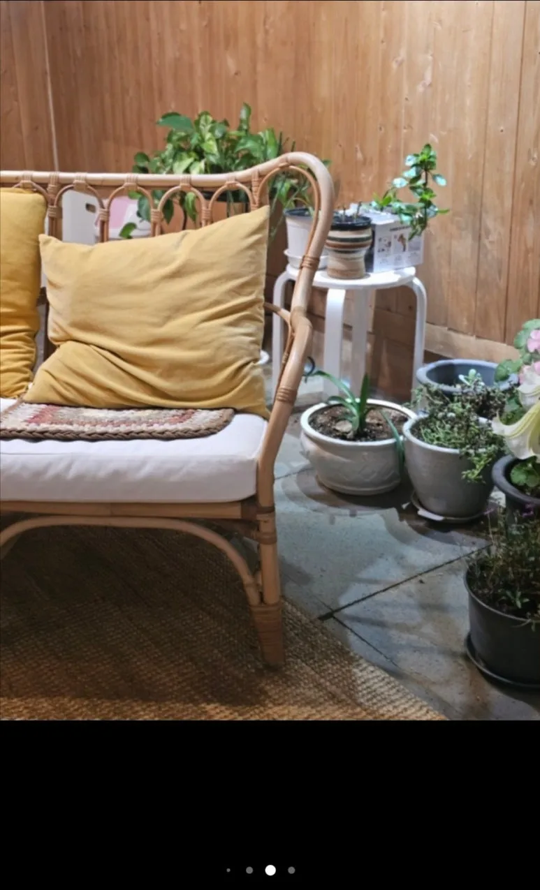 900%EF%BC%BF1763901746633.jpg?type=w773