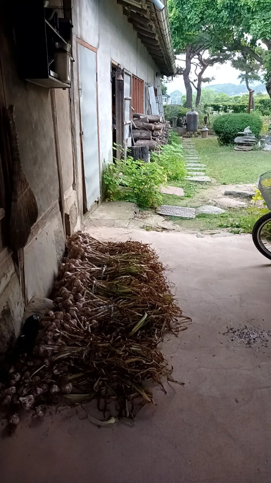 20240614_191918532.jpg?type=w1