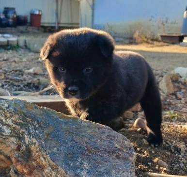 900%EF%BC%BF20251208%EF%BC%BF152030.jpg?type=w386